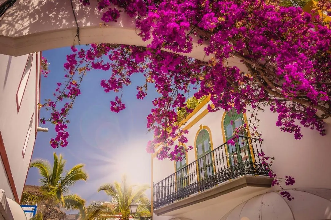 20 Metres From The Sea In Puerto De Mogan Apartment